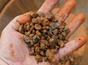 ɰ�a�V�x�V���a(ch��n)��(xi��n)